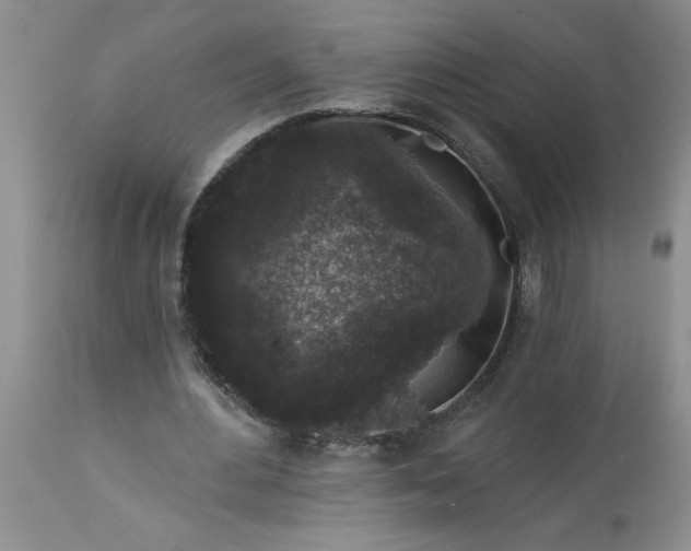 X0000113610484200910021807