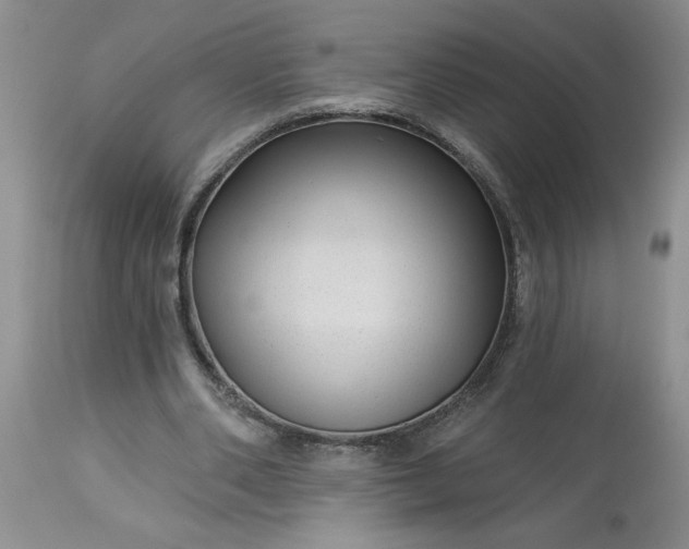 X0000113610486200910021807