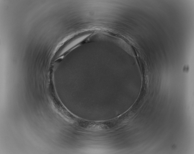 X0000113610488200910021807