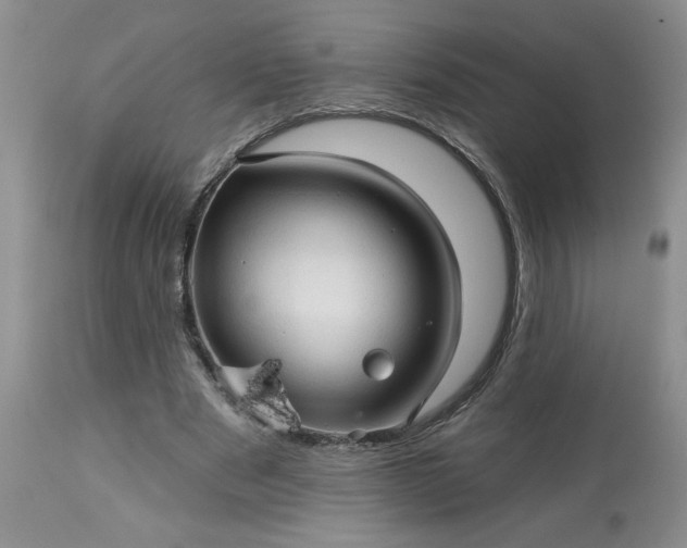 X0000113610489200910021807