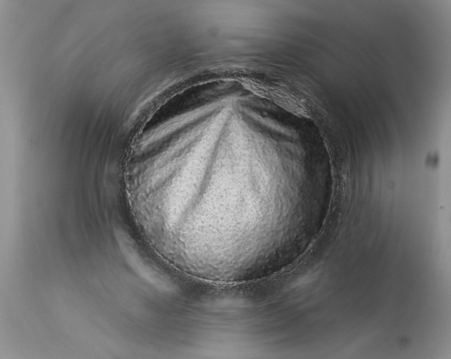 X0000113610491200910021807