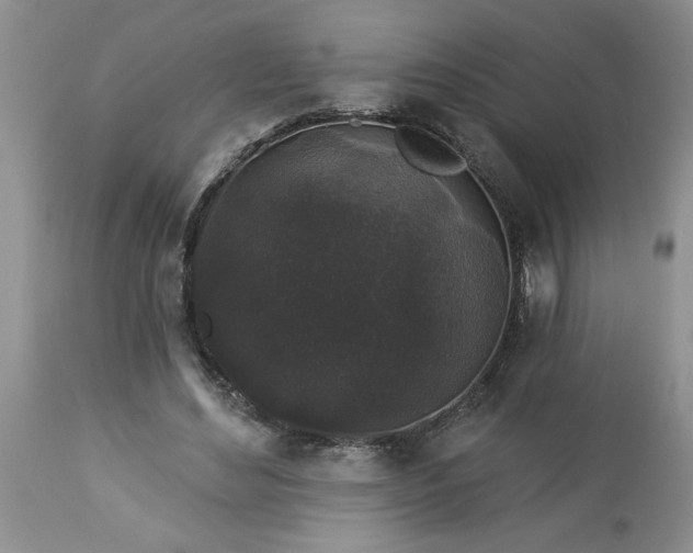 X0000113610492200910021807