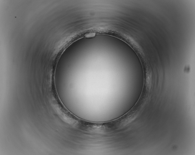 X0000113610493200910021807