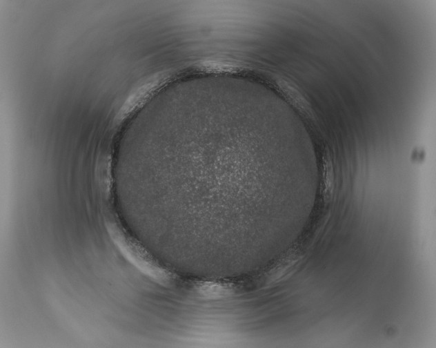 X0000113610494200910021807