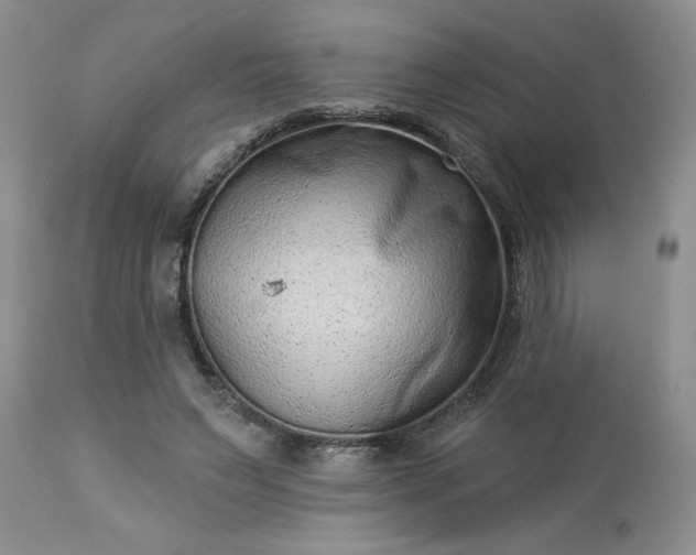 X0000113610495200910021807