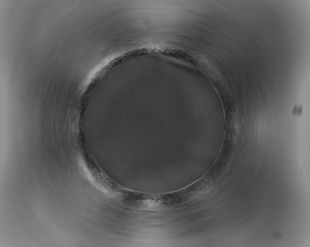 X0000113610496200910021807