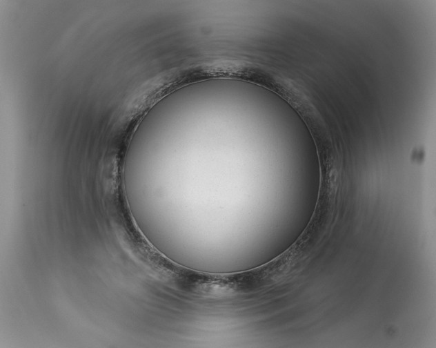 X0000113610498200910021807