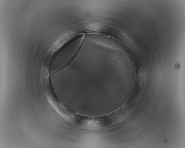 X0000113610500200910021807