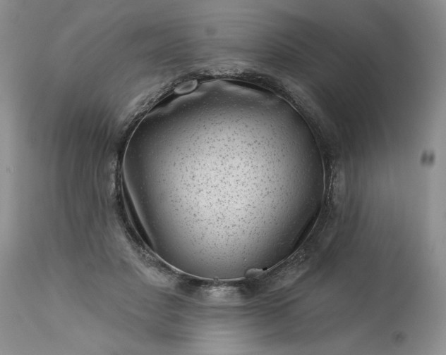 X0000113610501200910021807