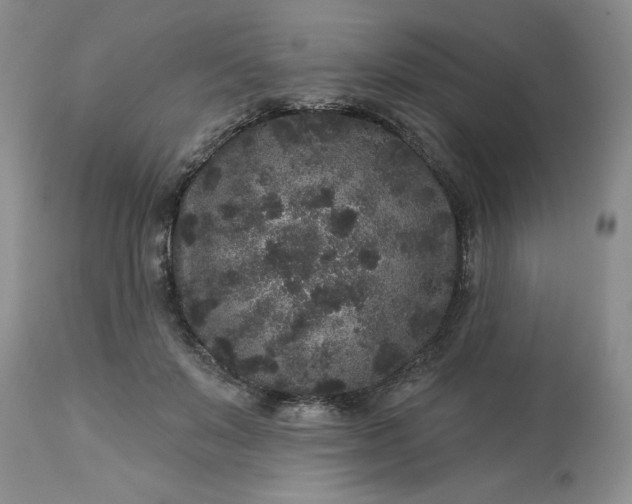 X0000113610503200910021807