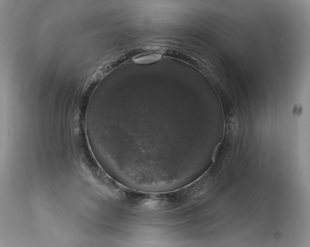 X0000113610504200910021807