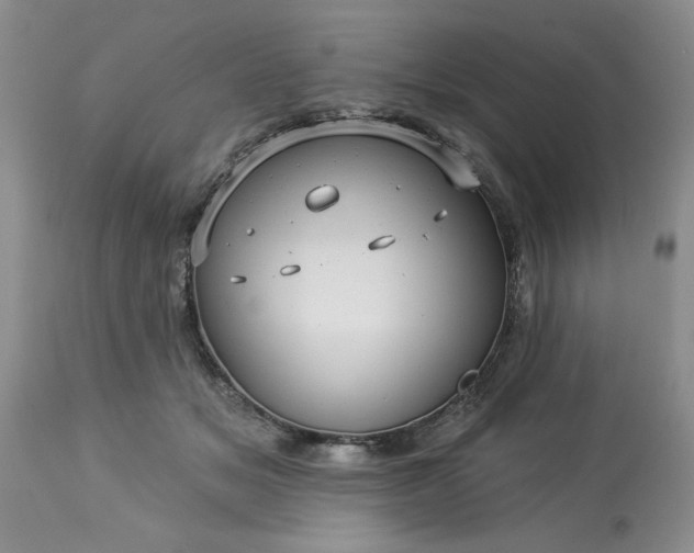 X0000113610509200910021807