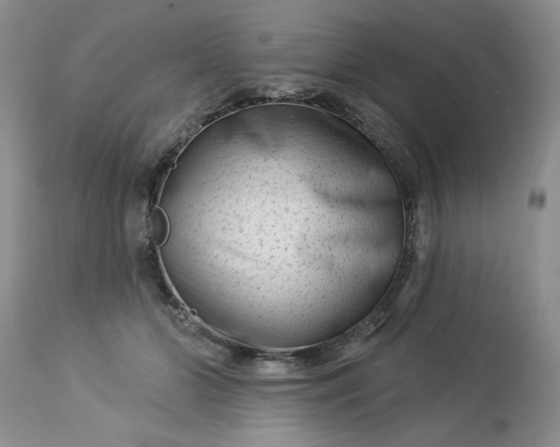 X0000113610510200910021807