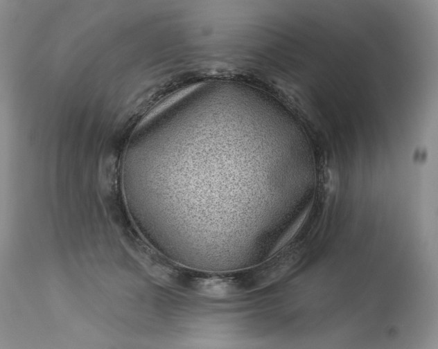 X0000113610511200910021807