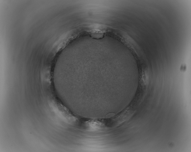 X0000113610512200910021807