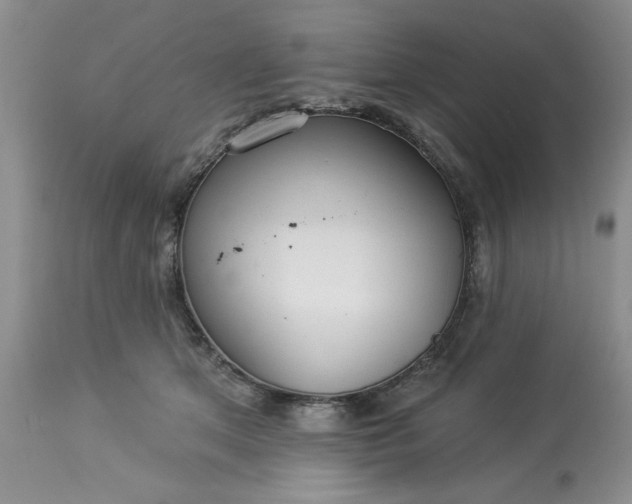 X0000113610513200910021807