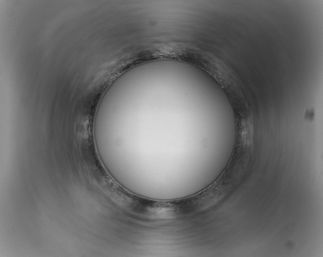 X0000113610514200910021807