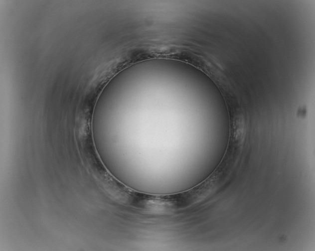 X0000113610515200910021807