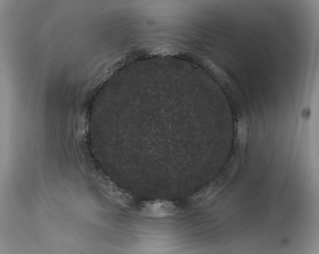 X0000113610517200910021807