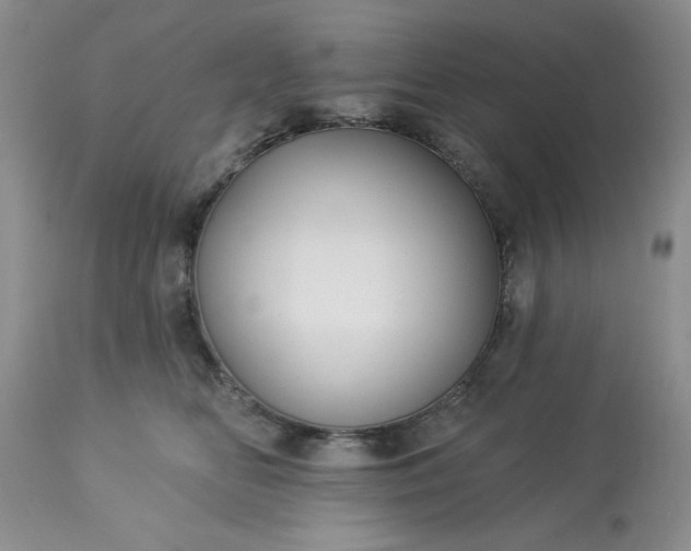 X0000113610518200910021807