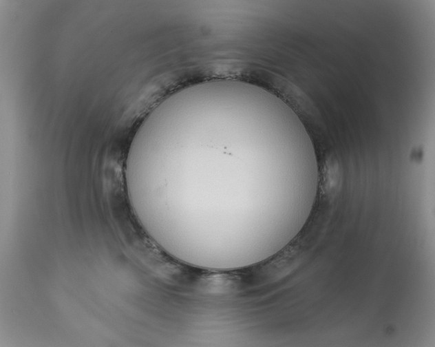 X0000113610522200910021807