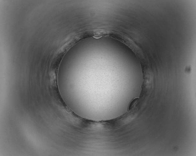 X0000113610523200910021807