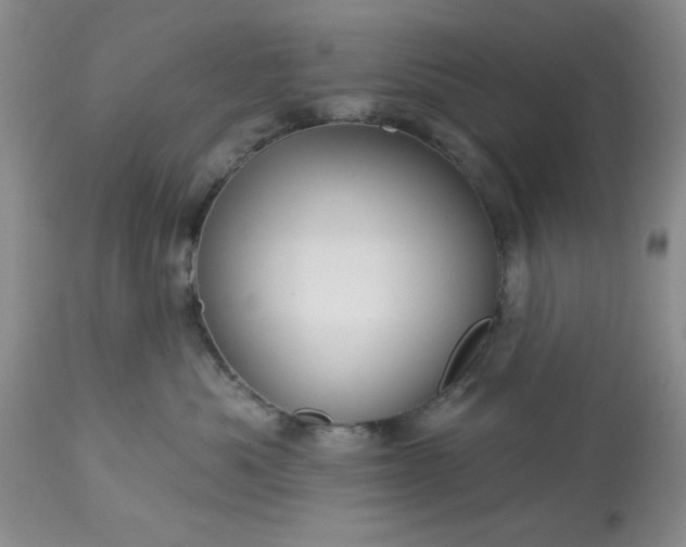 X0000113610525200910021807