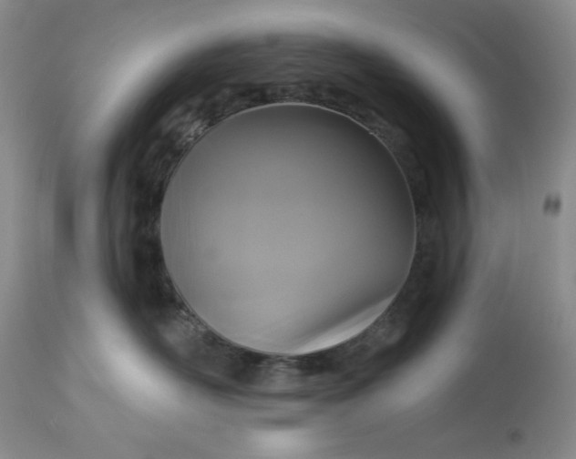 X0000113610526200910021807