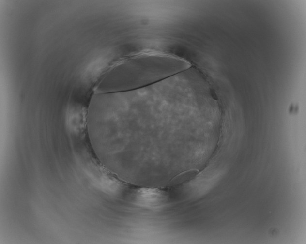 X0000113610528200910021807