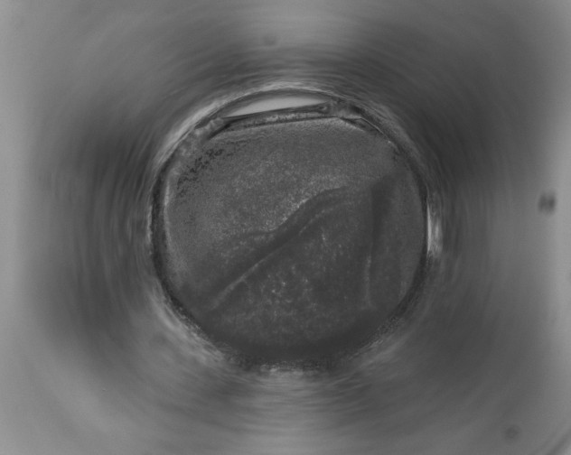 X0000113610531200910021806