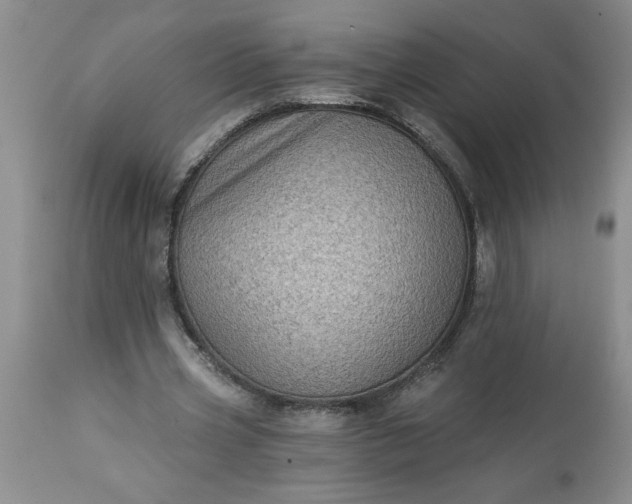 X0000113610533200910021806