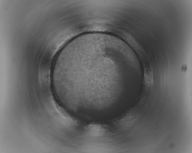 X0000113610534200910021806