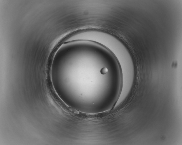 X0000113610536200910021806