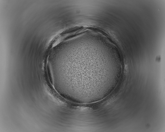 X0000113610539200910021806