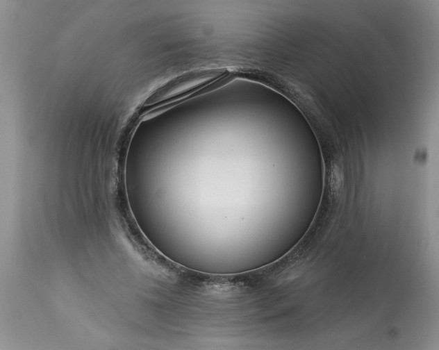 X0000113610540200910021806