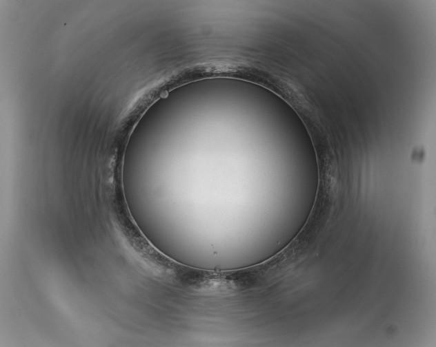 X0000113610543200910021806