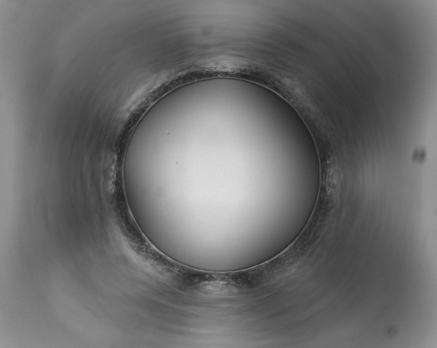 X0000113610544200910021806