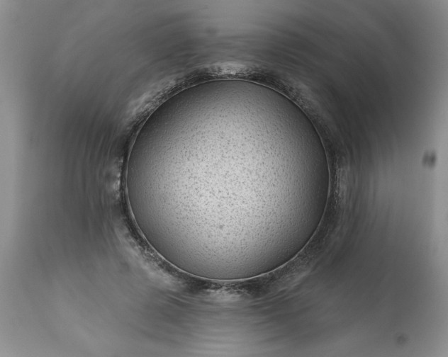 X0000113610545200910021806