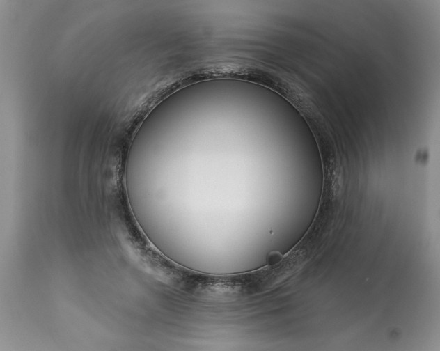 X0000113610546200910021806