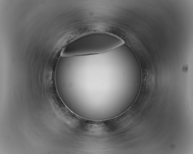 X0000113610548200910021806