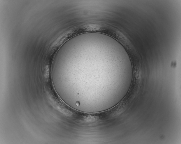 X0000113610549200910021806