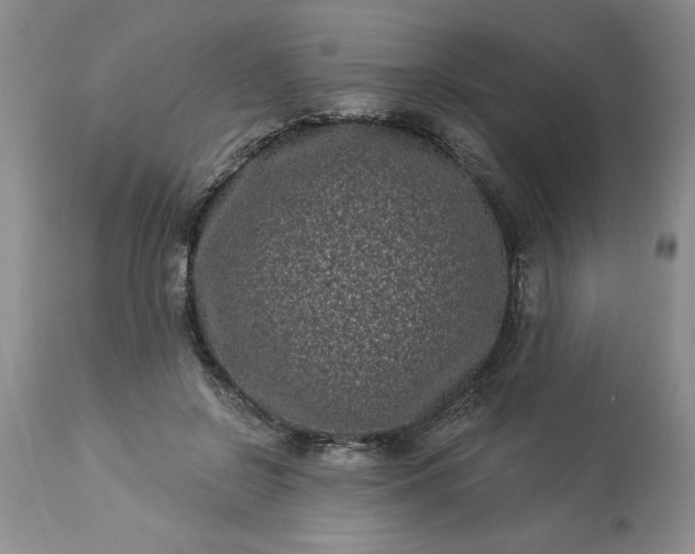 X0000113610550200910021806