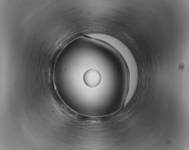 X0000113610552200910021806