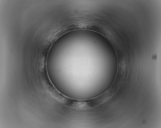 X0000113610554200910021806