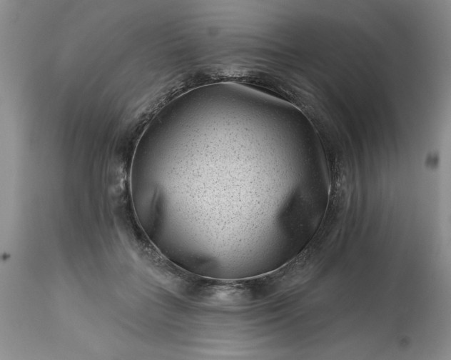 X0000113610555200910021806