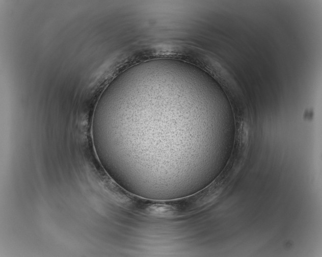 X0000113610557200910021807