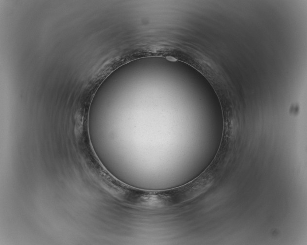 X0000113610558200910021807