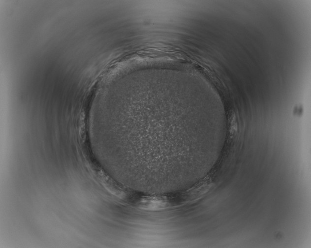 X0000113610559200910021807