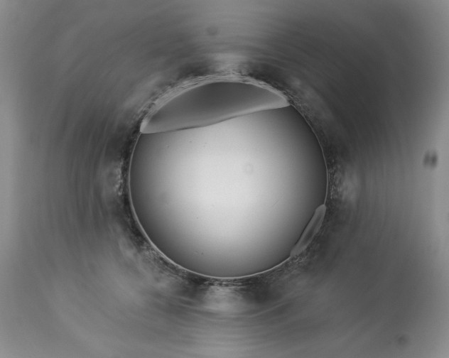 X0000113610560200910021807