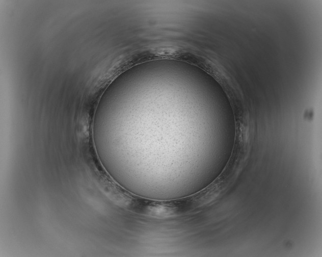 X0000113610561200910021807